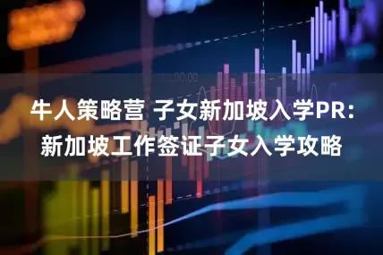 牛人策略营 子女新加坡入学PR：新加坡工作签证子女入学攻略